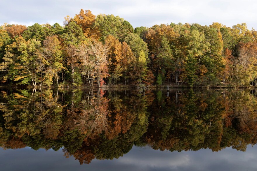 Guilford Woods reflected off a lake