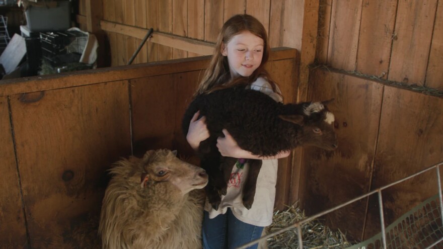 Shepherd Izzy Hoffman of Foster and her Navajo Churro lamb, Cadbury