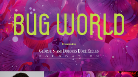 NHMU exhibit of Bug World and Executive Director Jason Cryan