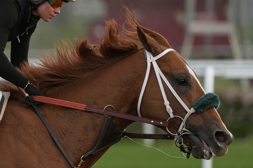 A race horse works out at Churchill Downs Tuesday, April 29, 2025.