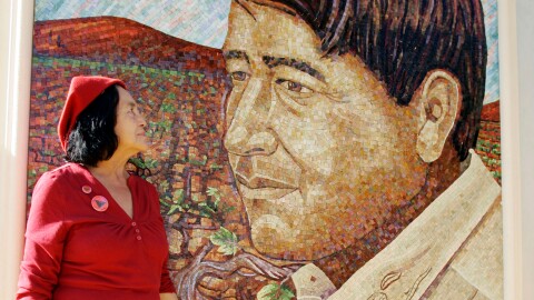 United Farm Workers co-founder Dolores Huerta looks at a mural of the late Cesar Chavez during a dedication of the Cesar Chavez Monument on the San Jose State University campus in San Jose, Calif., Thursday, Sept. 4, 2008.