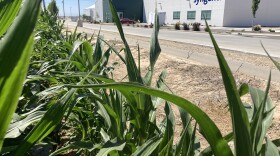 Syngenta opened up a new Vegetable Seed Testing Lab in Nampa