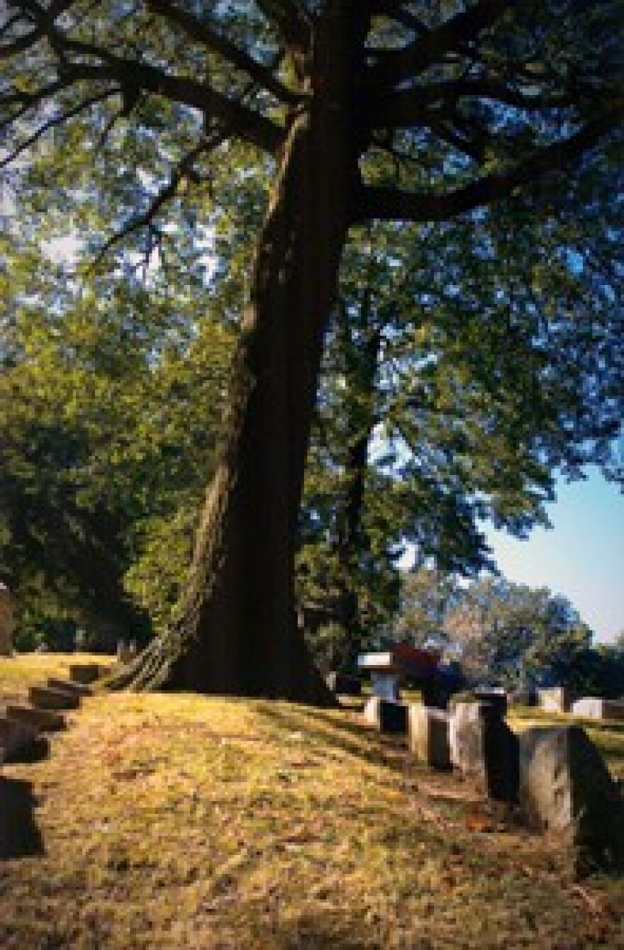 Woodland Cemetary