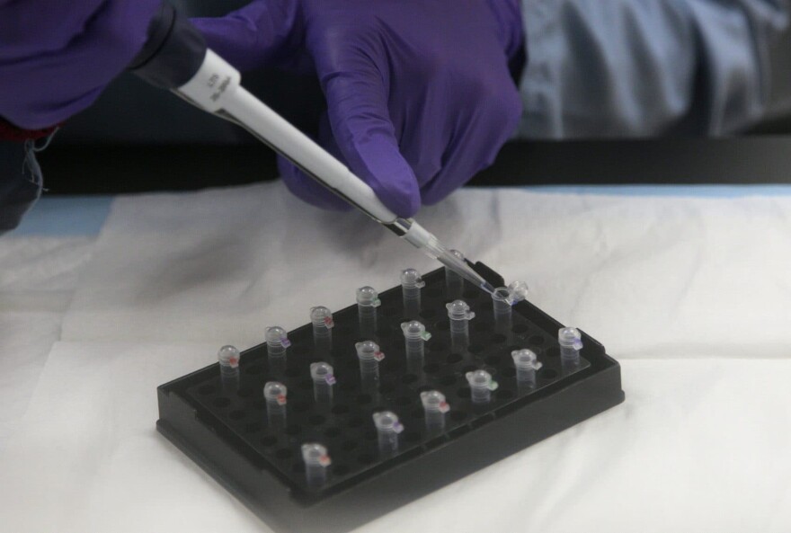 In this Feb. 2012, file photo, senior criminalist Michelle Halsing works on mitochondrial DNA testing at the State of California Department of Justice Jan Bashinski DNA Laboratory in Richmond, Calif. (Jeff Chiu/AP)