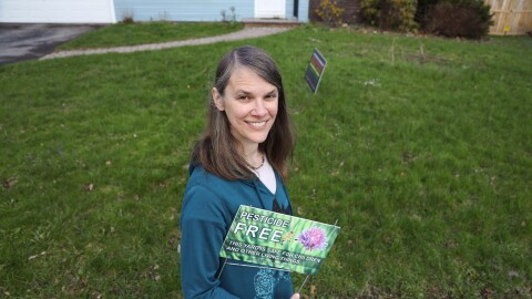 Cheryl Frank, president of Color Brighton Green, is asking her neighbors to let their lawns grow during the month of May. Dandelions, clover, wild onions and taller grass are beacons for pollinators and other insects that help to enhance a heathy eco system.