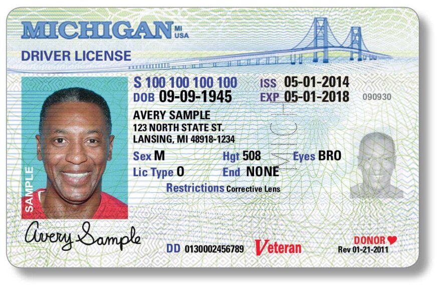 michigan driver license types