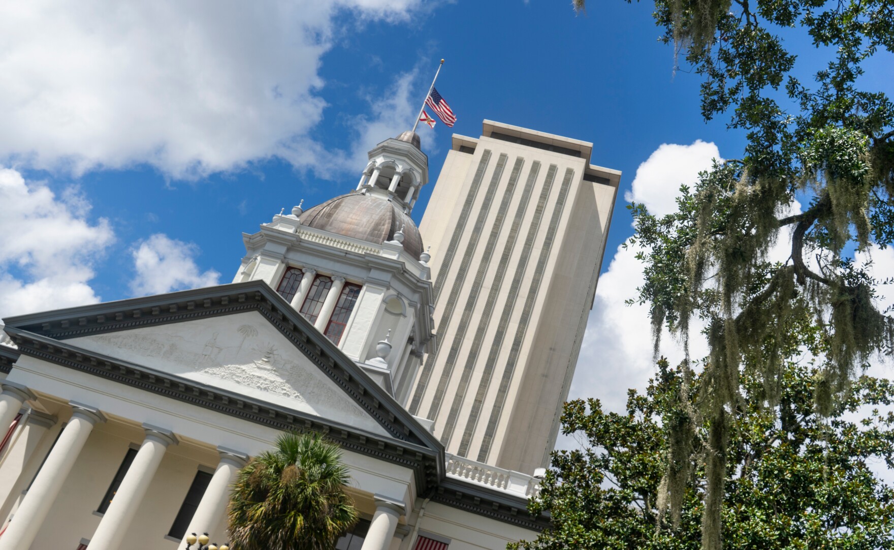 Florida Legislature 101: How to take your message to the Florida
