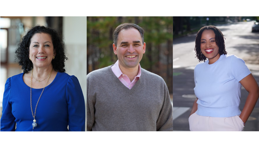 Melanie Shekita, Wiley Nickel, and Sherita Walton are running for Wake County District Attorney.