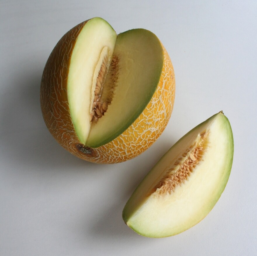 Honeydew Melon - First Foods for Baby - Solid Starts