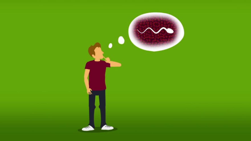 Contemplating Sperm