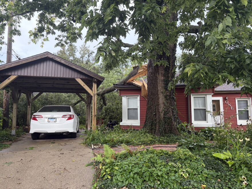 A tree fell on this house on Payne Place in Normal during Thursday's storms.