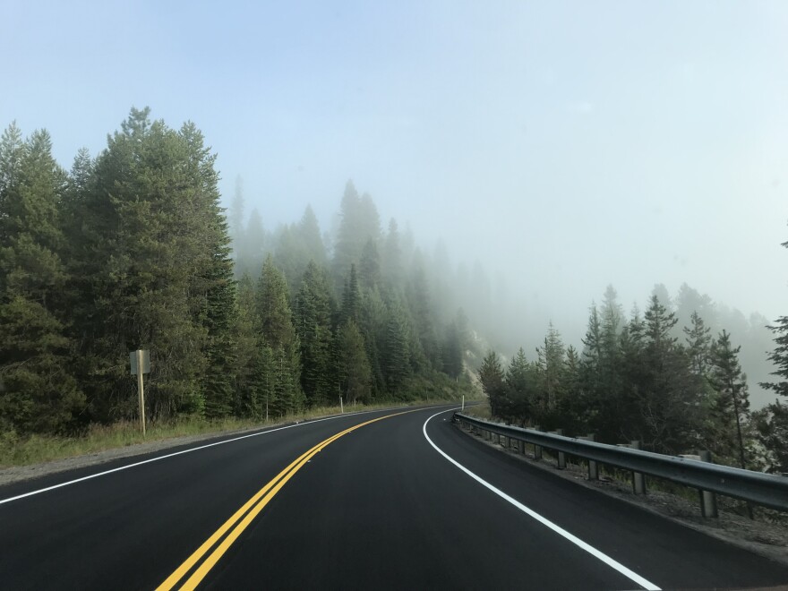 A paved highway bearing left with guardrails to the right. Fog surrounds pine trees on each side of the road.