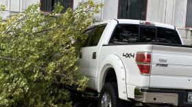 A tree fell against a truck in Branson, Missouri during storms in early August, 2023