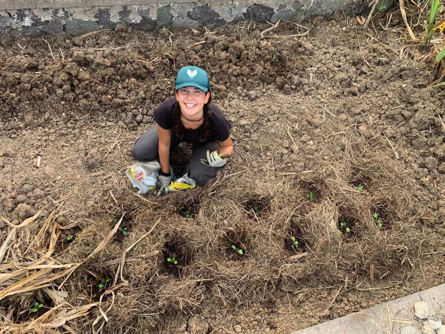 CSU Peace Corp Mya Hunter with garden beds in Sant Mary Parish, Jamaica