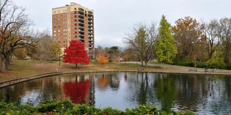Trees of various fall colors around a pond, with a high rise in the background.