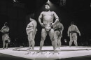 Sumo + Sushi takes place October 16 through 18 at The Hangar at Regatta Harbour in Coconut Grove
