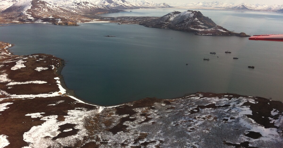 2014 Togiak Herring Forecast Released