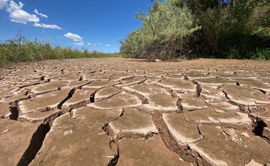 A dry Rio Grande riverbed in southern Albuquerque on Sept. 15, 2021.