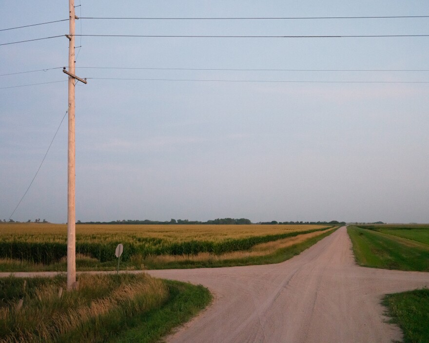 The cornfield where Cruz Urias Beltran's body was found near Grand Island, Neb.