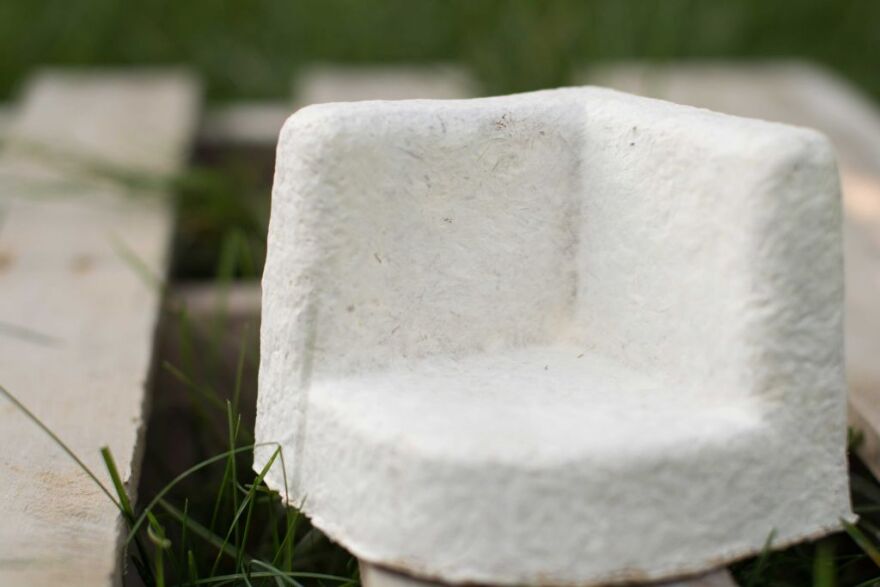 Eben Bayer's company makes packaging materials out of mycelium, the threadlike roots of fungus.