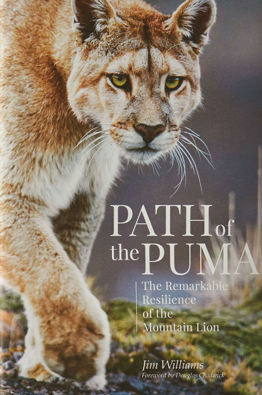 Path of the Puma: The Remarkable Resilience of the Mountain Lion