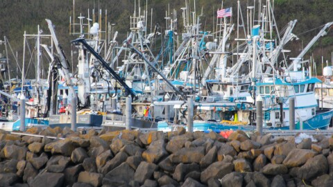 Sand Point's boat harbor in 2024.
