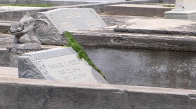 Iguanas are everywhere in Key West, including the island's historic cemetery.