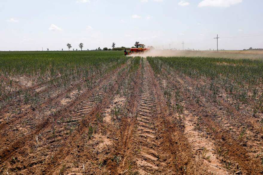 Big food companies commit to 'regenerative agriculture' but skepticism remains | KOSU