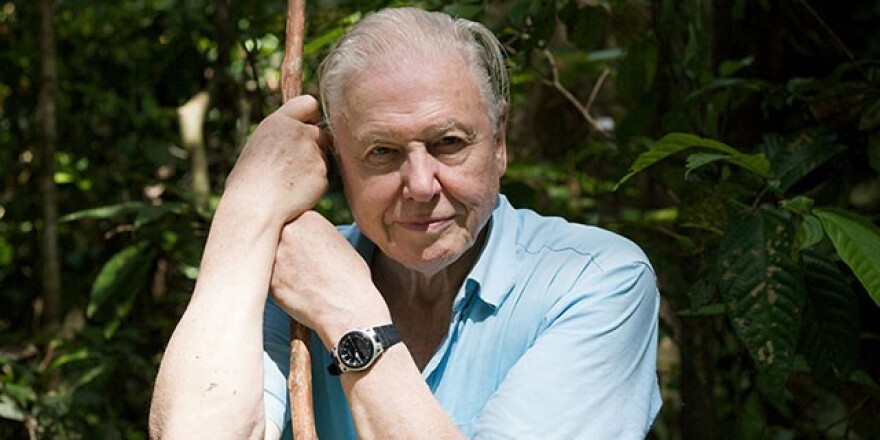 David Attenborough's Stories