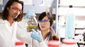 Hendrik Luesch, Ph.D., a professor of medicinal chemistry and the Debbie and Sylvia DeSantis Chair in Natural Products Drug Discovery and Development in the UF College of Pharmacy, led the discovery of the Gatorbulin-1 molecule that could aid in the fight against cancer.