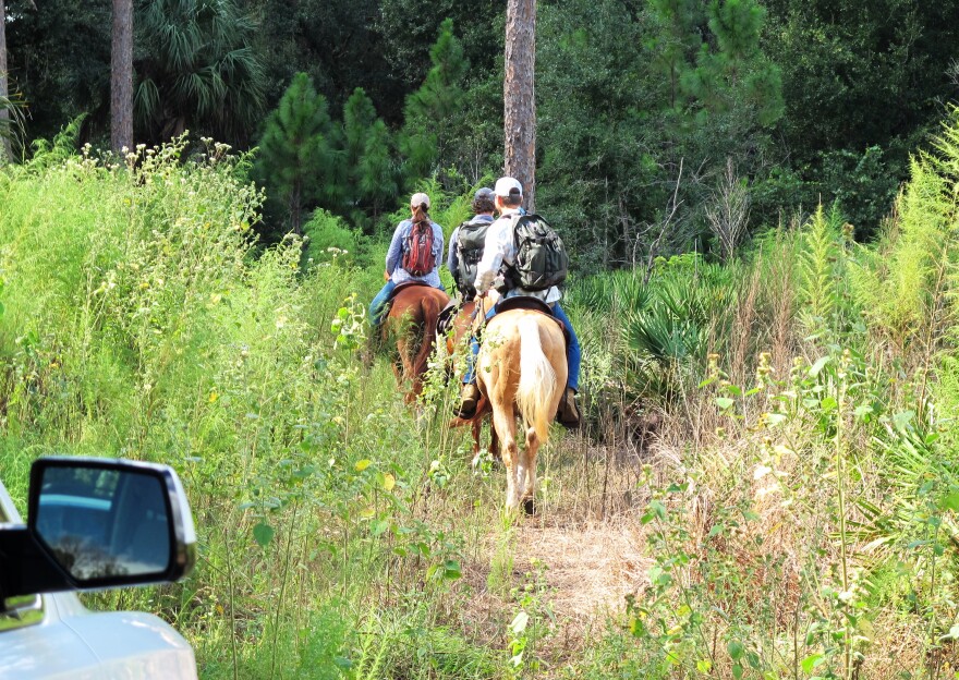 Riding off into the woods