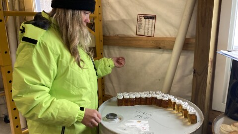 Jennifer RiChard looks at syrup samples taken from each barrel of maple syrup her business, Hidden Acres Sugar Bush in Gaylord, has produced this season. One year after an ice storm that devastated her trees, RiChard is back to tapping. (Photo: Ellie Katz/IPR News)