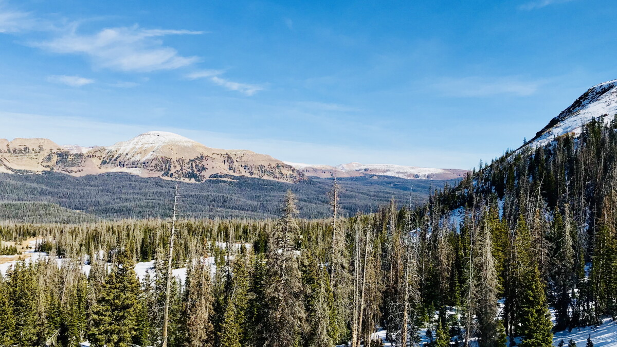Thinning Utah's forests is unlikely to increase waterflow to Great Salt Lake - Vimarsana News