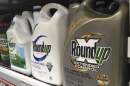 Containers of Roundup are displayed on a store shelf. (Haven Daley/AP)