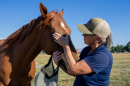 Julie Baker, founder of Healing Arenas, cares for former race horses like Grant who now spend their days helping veterans and first responders find tools to cope with trauma.