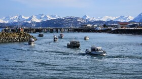 Boats coming into the Homer Harbor.