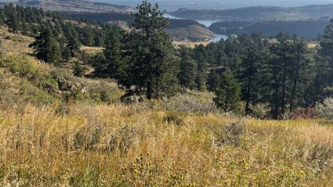 Hiking trails with water in the distance.