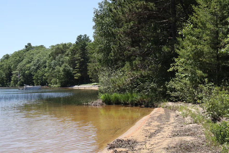 The forested shore of White Sand Lake in Vilas County, Wis. is shown on June 27, 2022. (Jim Malewitz / Wisconsin Watch)