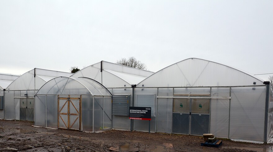 The International Cocoa Quarantine Greenhouse in Reading, about 40 miles west of London.