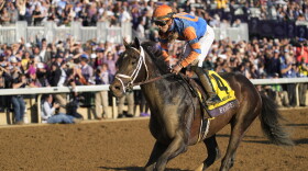 FILE - Irad Ortiz Jr. rides Forte to victory during the Breeders' Cup Juvenile race at Keenelend Race Course, Friday, Nov. 4, 2022, in Lexington, Ky. Todd Pletcher-trained colt Forte and Brad Cox's filly Wet Paint are the morning line favorites respectively for the 149th Kentucky Derby and Kentucky Oaks at Churchill Downs. Forte, the 2-year-old champion whose 190 points led the Derby qualifying trail, drew the No. 15 post at 3-1 odds on Monday, May 1, 2023, for the $3 million premier race for 3-year-olds. (AP Photo/Jeff Roberson, File)