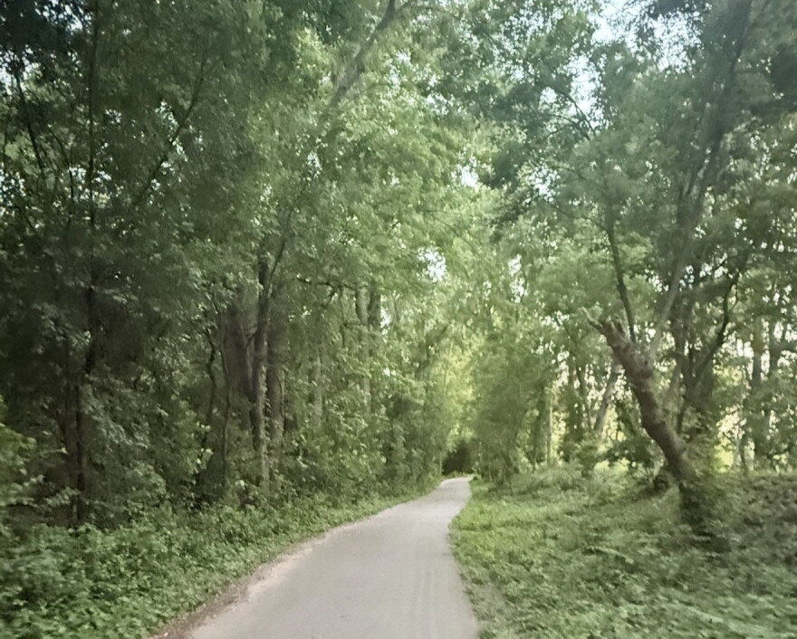 Trees and other shrubbery line a winding trail.