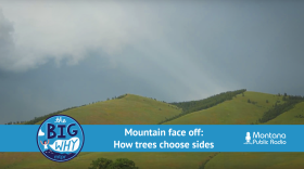 A photo of a mountain landscape in the spring shows bare south facing slopes alternating with wooded north facing slopes on Mount Sentinel in Missoula, MT. An overlay shows The Big Why logo and the text: Mountain face off: How trees choose sides.
