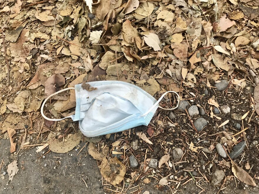 A blue surgical mask, crumpled, rests on leafy debris.