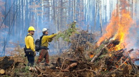 Firefighters burn piles of wood near Tok on Aug. 29.