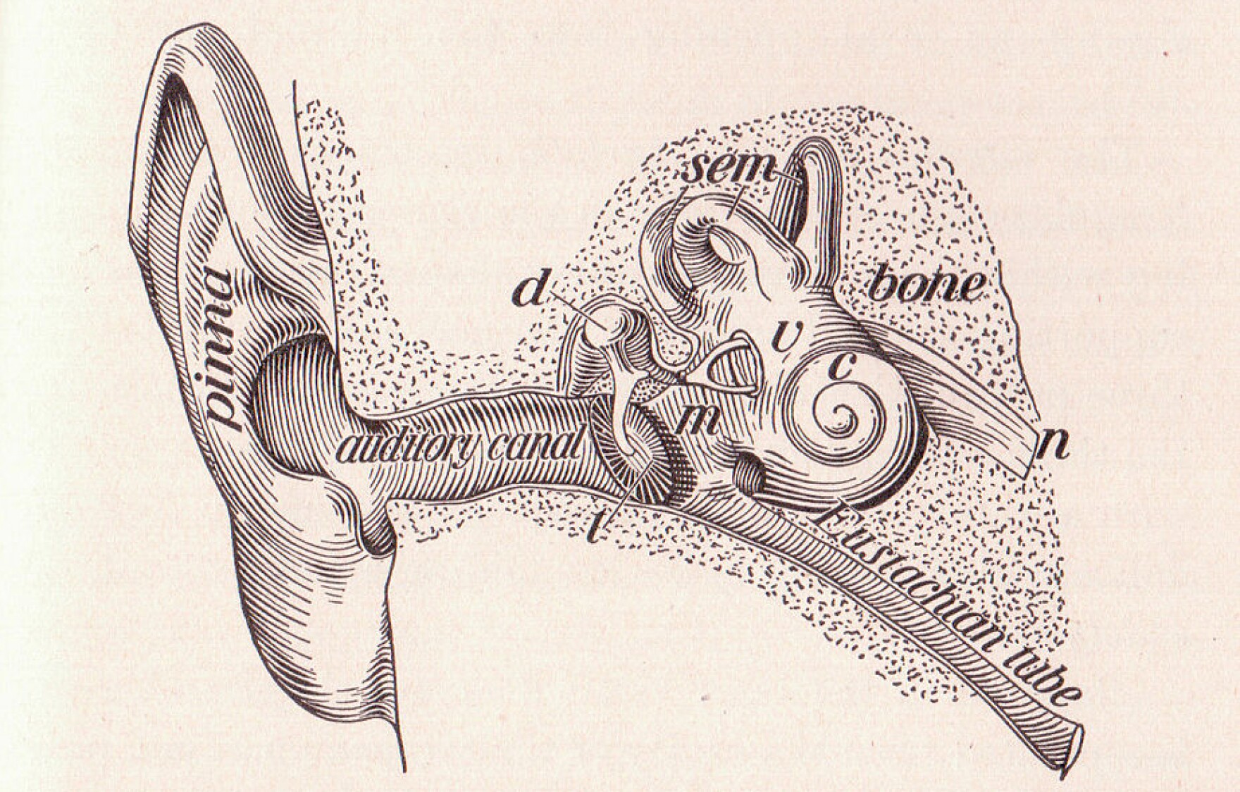 Boned open. Boned open. Boned open. средний ухо анатомия. Bone fracture is.