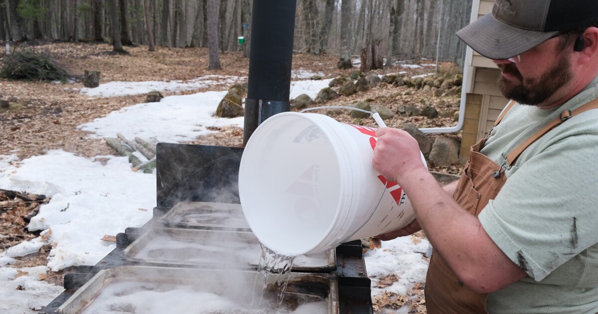 All Things Outdoors: Forestry & making maple syrup
