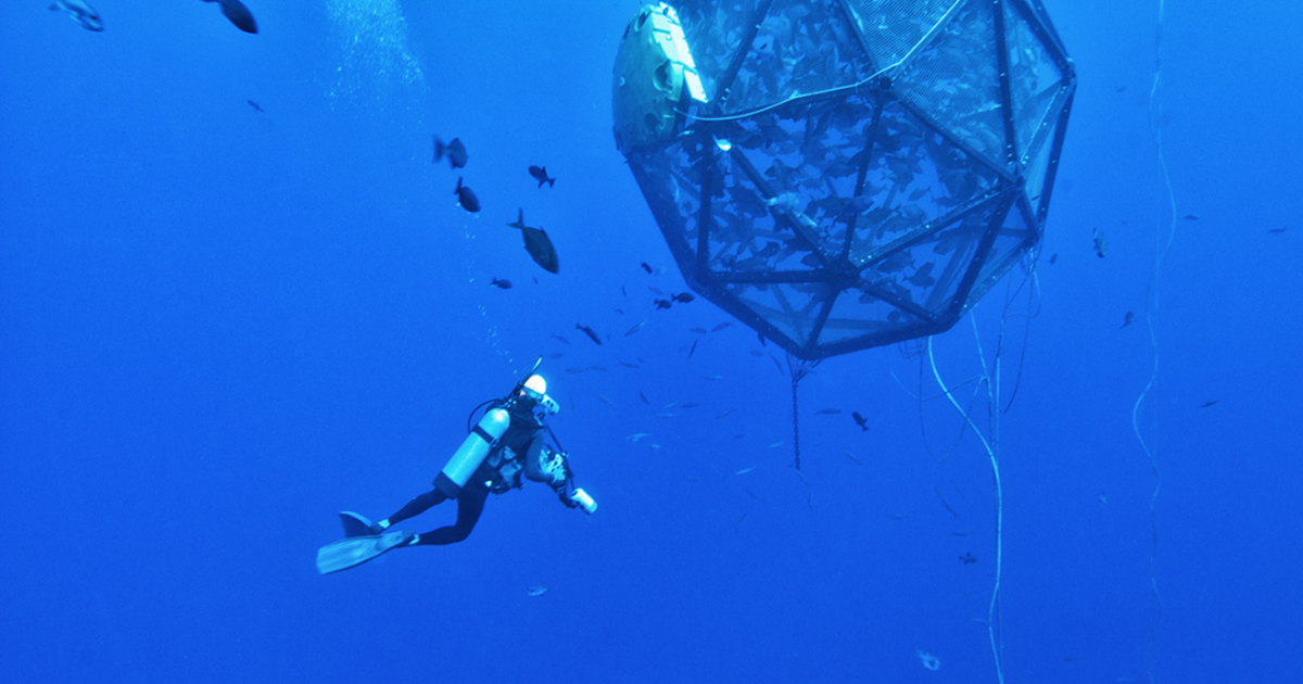 An offshore Gulf fish farm gets approval from federal regulators