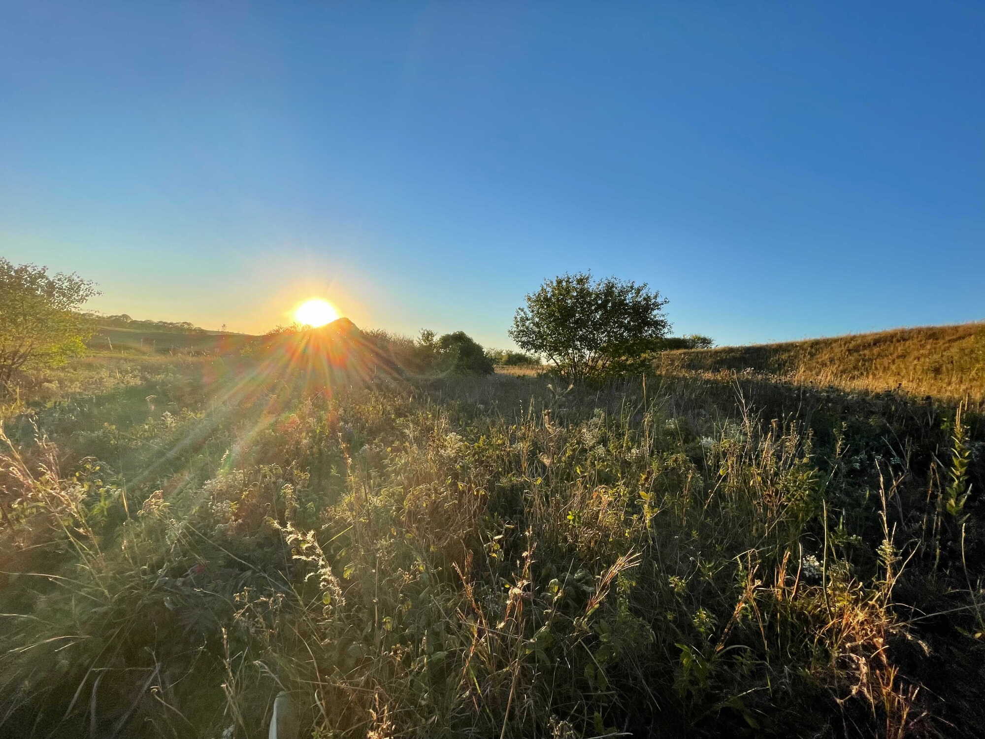 Poetically Yours Ep. 69 - The prairie is in the news episode artwork