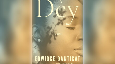 Book jacket art for Edwidge Danticat's novel Déy.