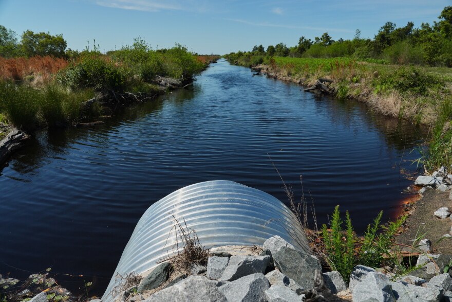 Water fills an irrigation ditch with repaired drainage structures Tuesday, May 5, 2026, in Belhaven, N.C.